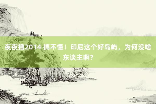 夜夜撸2014 搞不懂!印尼这个好岛屿,为何没啥东谈主啊?