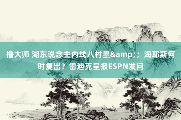 撸大师 湖东说念主内线八村塁&；海耶斯何时复出？雷迪克呈报ESPN发问