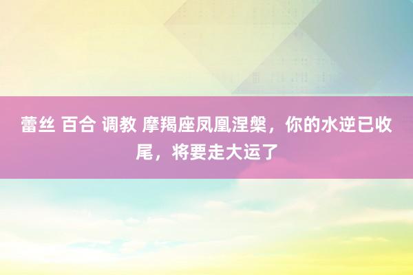 蕾丝 百合 调教 摩羯座凤凰涅槃，你的水逆已收尾，将要走大运了