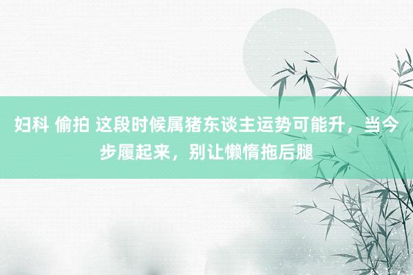 妇科 偷拍 这段时候属猪东谈主运势可能升，当今步履起来，别让懒惰拖后腿