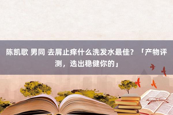 陈凯歌 男同 去屑止痒什么洗发水最佳？「产物评测，选出稳健你的」