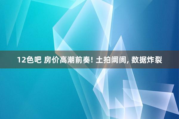 12色吧 房价高潮前奏! 土拍阛阓, 数据炸裂