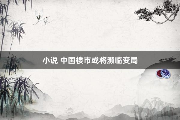 小说 中国楼市或将濒临变局