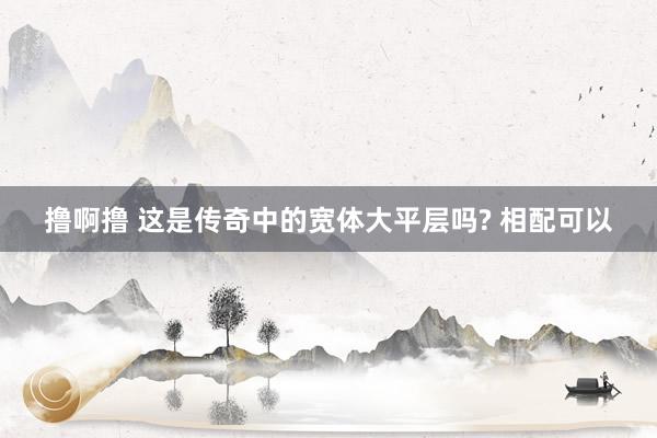 撸啊撸 这是传奇中的宽体大平层吗? 相配可以