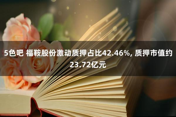 5色吧 福鞍股份激动质押占比42.46%, 质押市值约23.72亿元