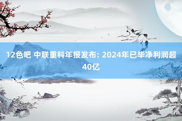12色吧 中联重科年报发布: 2024年已毕净利润超40亿