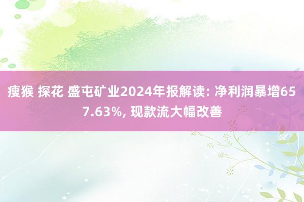 瘦猴 探花 盛屯矿业2024年报解读: 净利润暴增657.63%, 现款流大幅改善