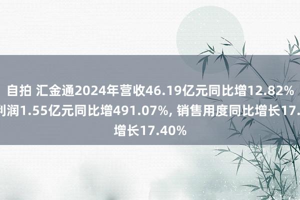 自拍 汇金通2024年营收46.19亿元同比增12.82%, 净利润1.55亿元同比增491.07%, 销售用度同比增长17.40%