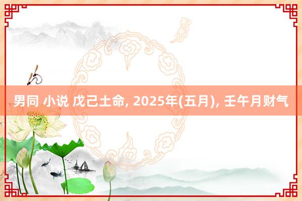 男同 小说 戊己土命, 2025年(五月), 壬午月财气