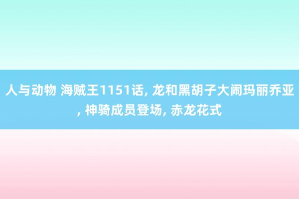 人与动物 海贼王1151话, 龙和黑胡子大闹玛丽乔亚, 神骑成员登场, 赤龙花式