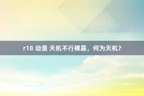 r18 动漫 天机不行裸露，何为天机？